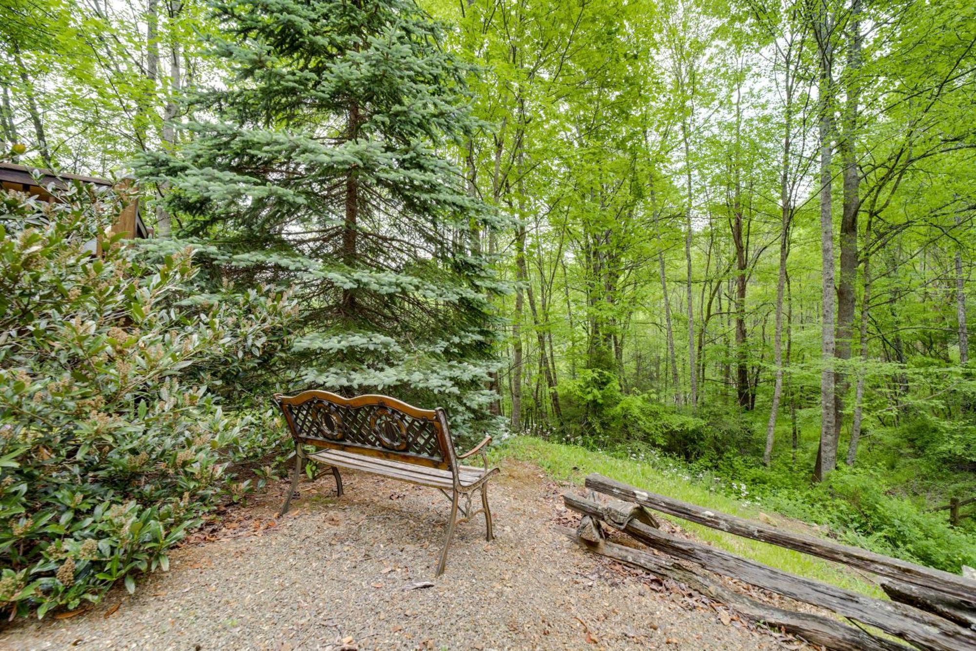 ウェインズビル Peaceful Smoky Mountain Cabin With Deck And Fire Pit!ヴィラ エクステリア 写真